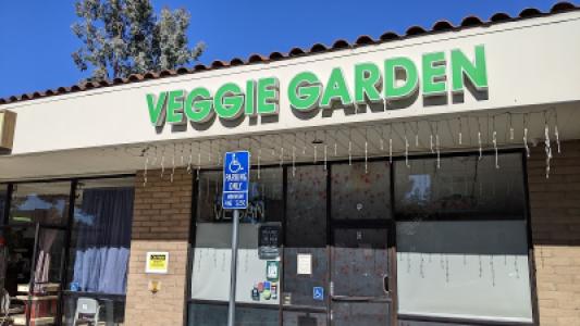 Veggie Garden