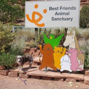 Best Friends Animal Sanctuary