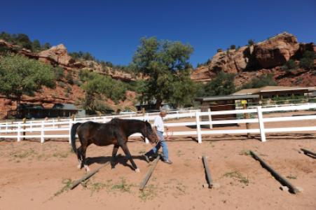 Best Friends Animal Sanctuary