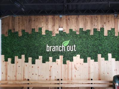 Branch Out