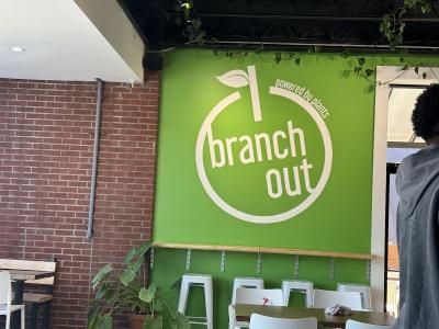 Branch Out