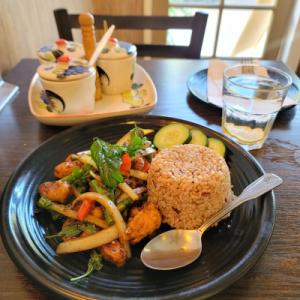 SAMATA VEGAN HOUSE