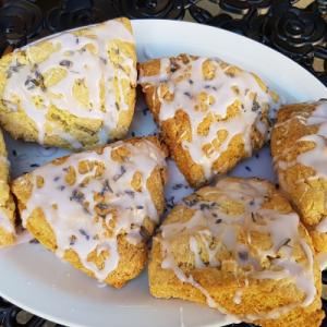 The Wild Oat Bakery & Cafe