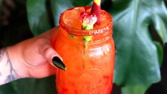 María Cruz - Plant Based Cuisine