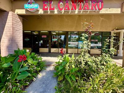 El Cantaro Vegan Taqueria